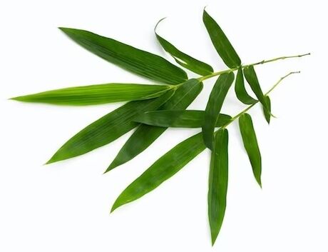 Simpla 360 contains bamboo leaves